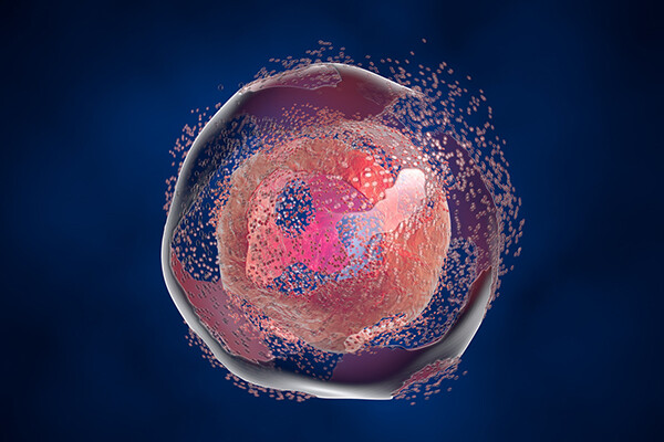 Rendering of the destruction of a cell.