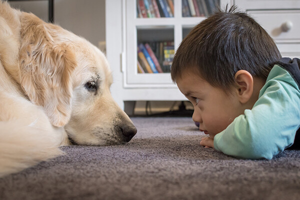 a dog and a toddler lay on a carpeted floor looking into each other's eyes.