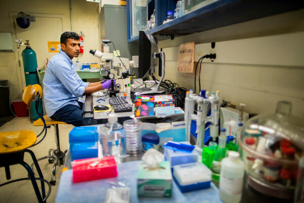 a person sitting at a microscope looking at a computer screen surrounded by pipet boxes, chemicals, and cabinetry