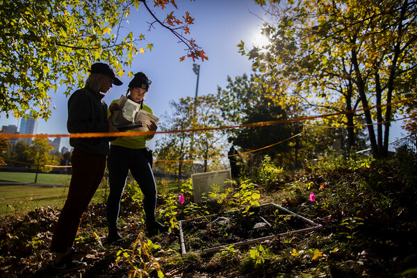 Two researchers stand in a roped-off area of land, backlit by the rising sun. A study site marked with pink flags is at their feet.