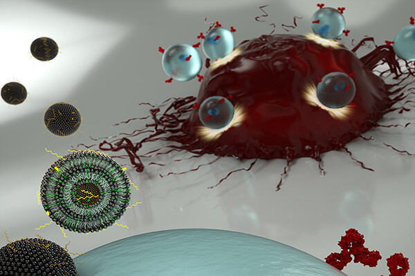 An artist’s illustration of nanoparticles transporting mRNA into a T cell, allowing the latter to express surface receptors that recognize cancer cells. 