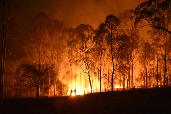 A bushfire burning in Queensland Australia