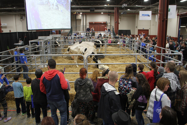 farm show calving center