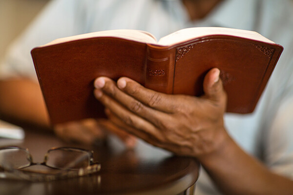 closeup of hand holding an open Bible