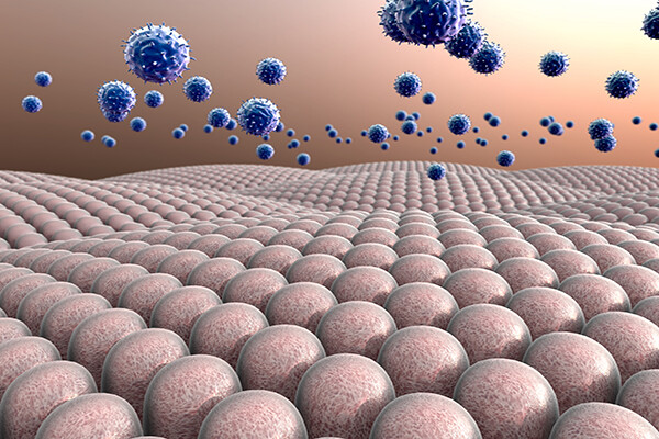Rendering of a field of cells, macrophages above attack the cells