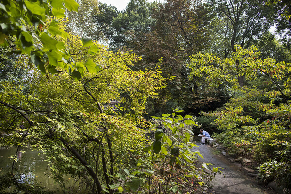 A person sits reading in Penn's Biopond