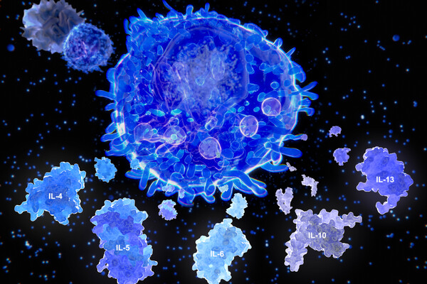 Illustration of a T cell releasing signaling molecules, IL-4, IL-5, IL-6, IL-10, and IL-13