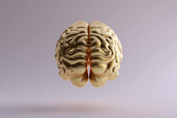 A golden-hued brain model suspended in air