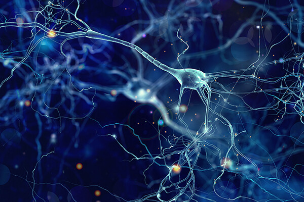 Microscopic image of a neuron
