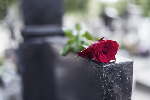 Rose on top of tombstone
