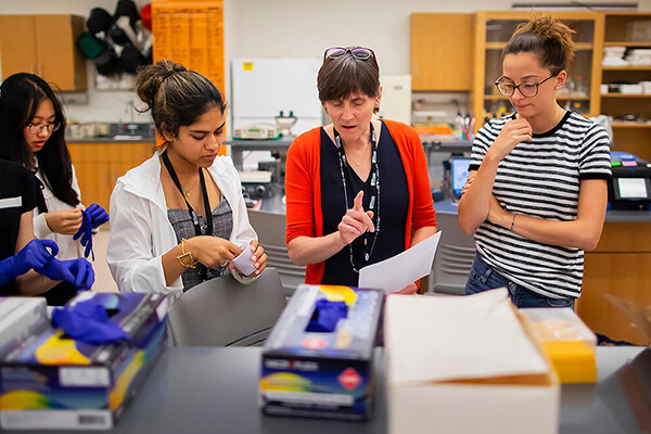 Jennifer Punt stands with three students in a lab setting discussing a paper.