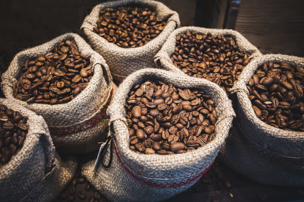 Burlap sacks full of coffee beans.