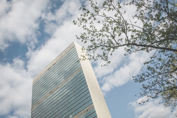 A skyscraper against a blue sky with white clouds and a budding tree