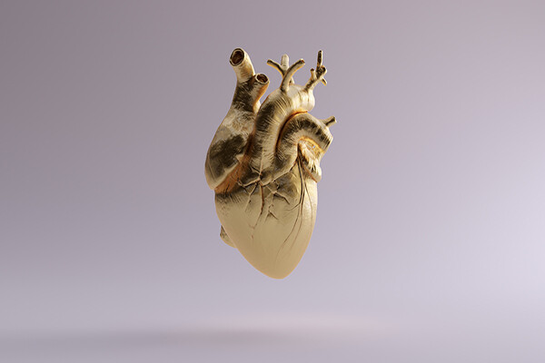 Gold-colored human heart model