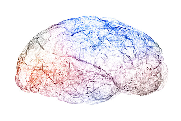 colorful rendering of the brain with dots indicating synapses