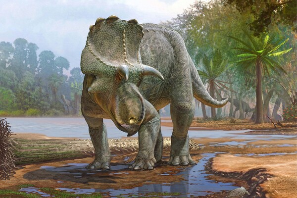 Illustration of a horned dinosaur in a jungle setting