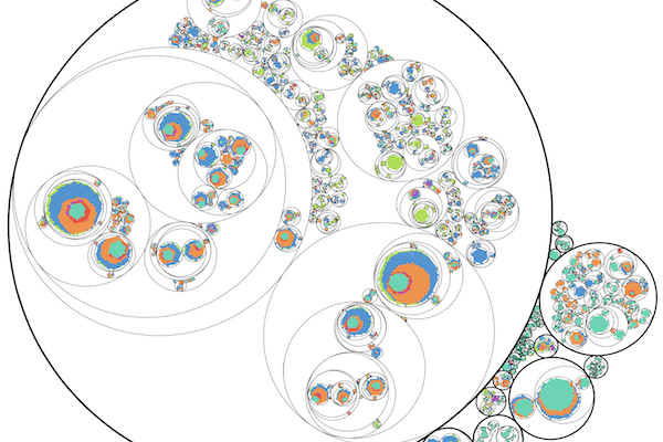 Concentric circles with different colors inside representing cancer cell lineages