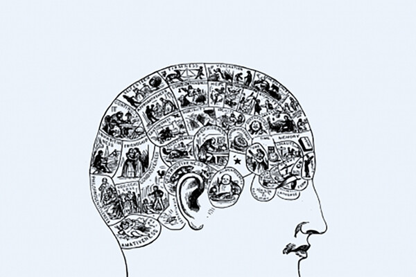 historic illustration of a phrenology map of someone’s skull.