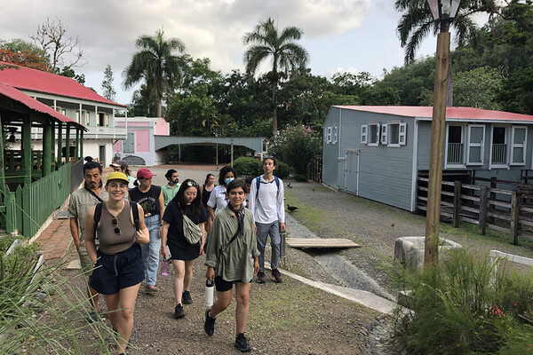 Group of people walking around a coffee plantation in Puerto Rico.
