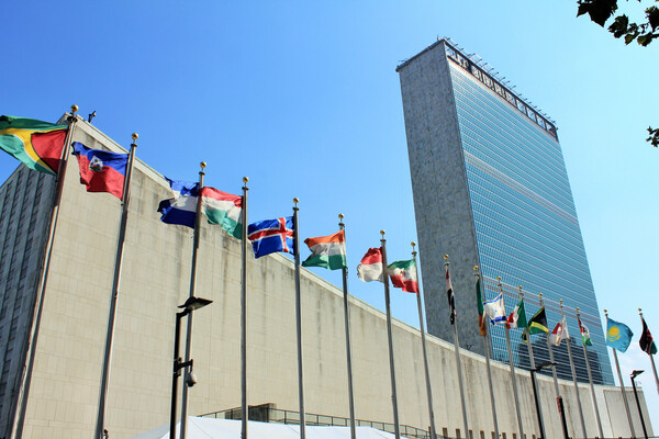 International flags flying at United Nations headquarters in New York