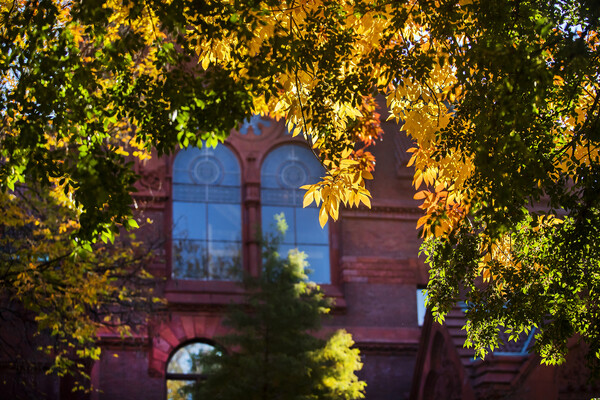 window detail of fisher fine arts library with autumn leaves