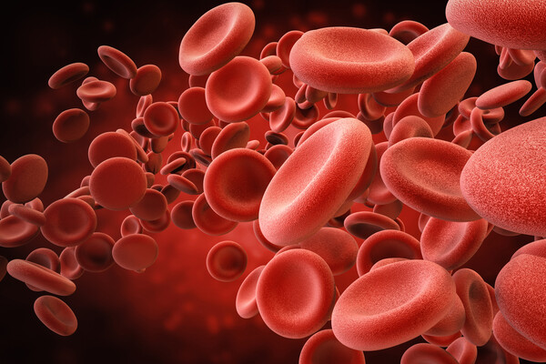 graphic of red blood cells in a vein