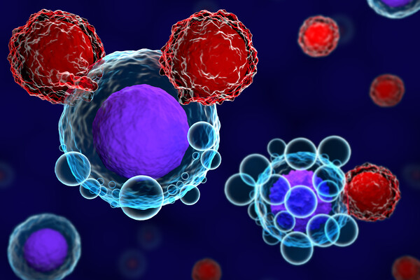 Illustration representing T cells attacking cancer cells