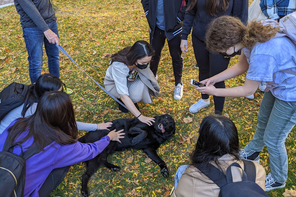 Penn students petting a dog outside