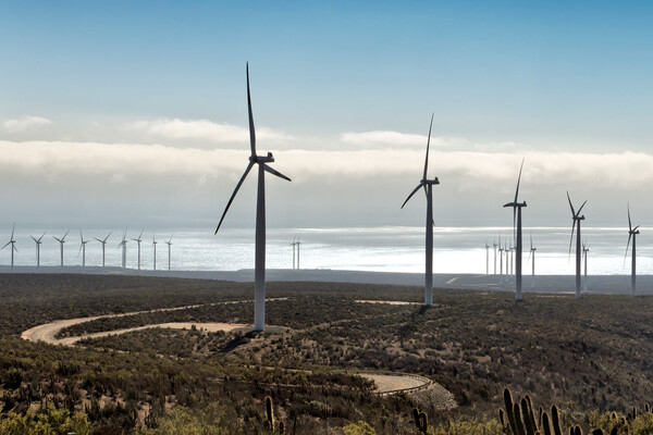 Windmills on the coast of Chile.