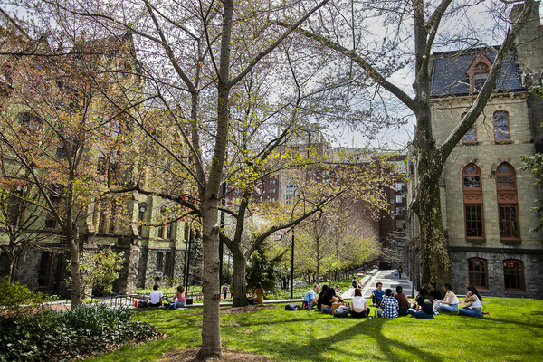 People sitting under trees in the middle of Penn campus.