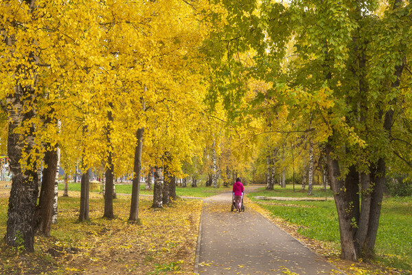 A person walking through a park pushing a stroller.