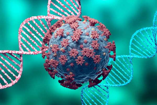 two DNA double helixes next to an illustration of the SARS-CoV-2 virus