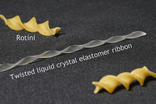 Two pieces of rotini and a twisted liquid crystal elastomer ribbon.