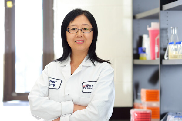 Penn Dental Medicine professor Shuying Yang