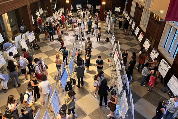 rows of posters on easels with groups of people around them in a historic hall