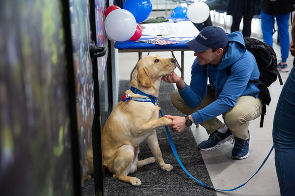 Man in a blue hoodie and baseball hat greets a yellow lab