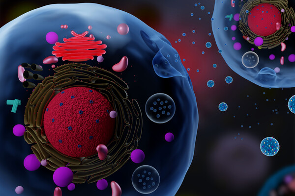 3d render of cells secreting exosomes.