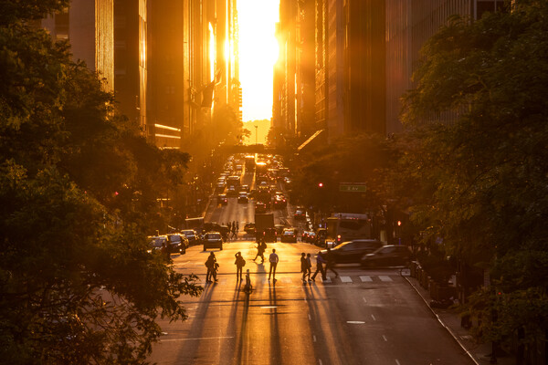 A low sun shines on a city street