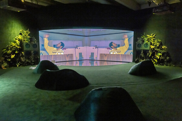 Abstract seats and foliage facing a dual projection screen