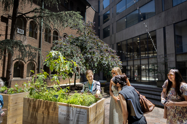 Four people outside looking at a wood planter box filled with plants