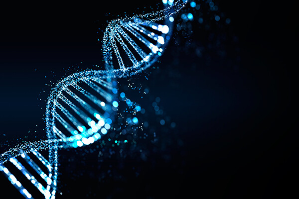 Close-up of DNA strand