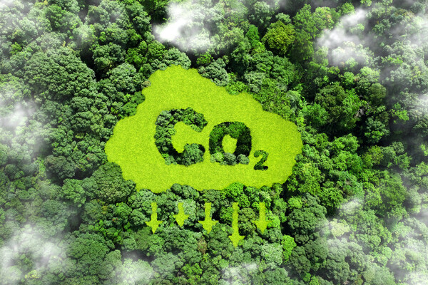 Aerial view of forrest. A cloud-like shape with the letters 'Co2' is impressed into the trees and arrows are pointing downwards beneath it.