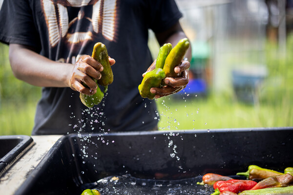 Xavier Watkins-Wright washing cucumbers and peppers.