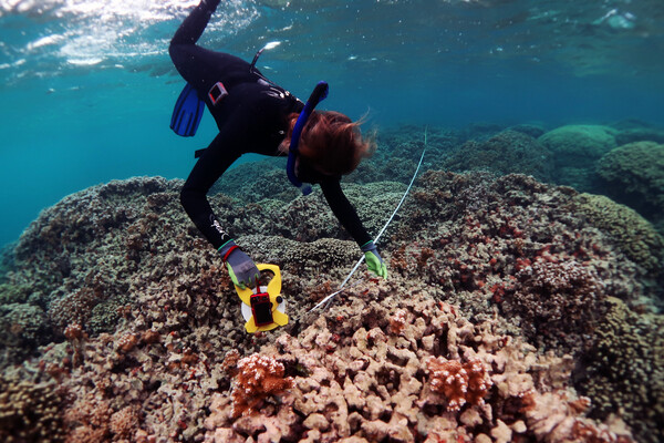 A diver in a wetsuit is using scientific equipment to take samples from a coral reef under clear water.