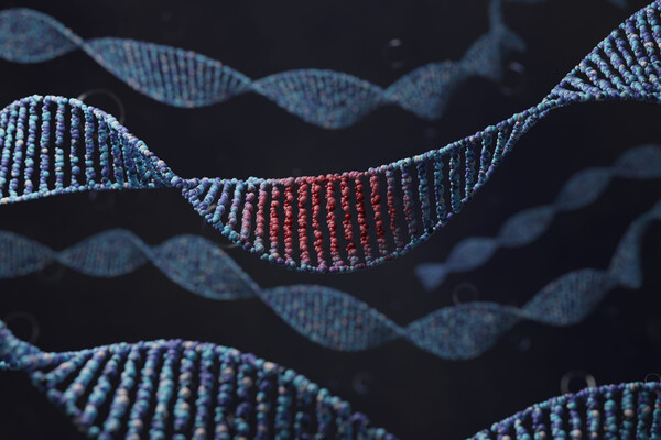Strands of DNA.