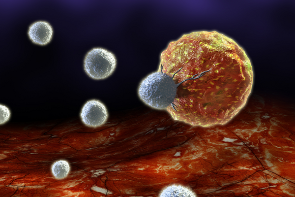 T cells attacking a cancer cell.