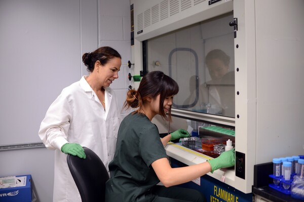 Kyla Ortved watches Sidney Wong work under hood in lab.