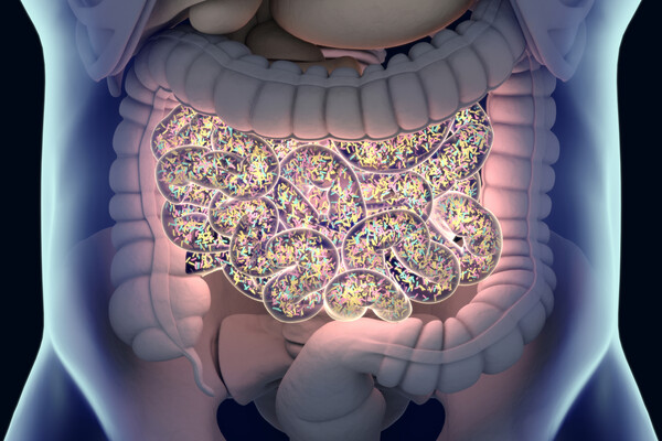 Microscopic rendering of bacterial in the small intestines.