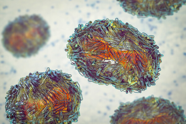 A microscopic view of the mpox virus.