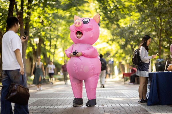 Pig in inflatable costume on Locust Walk.